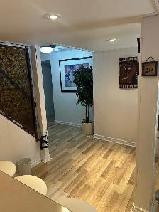 Furnished Walkout Basement $1,500 All-Inclusive in Etobicoke - Photo 7