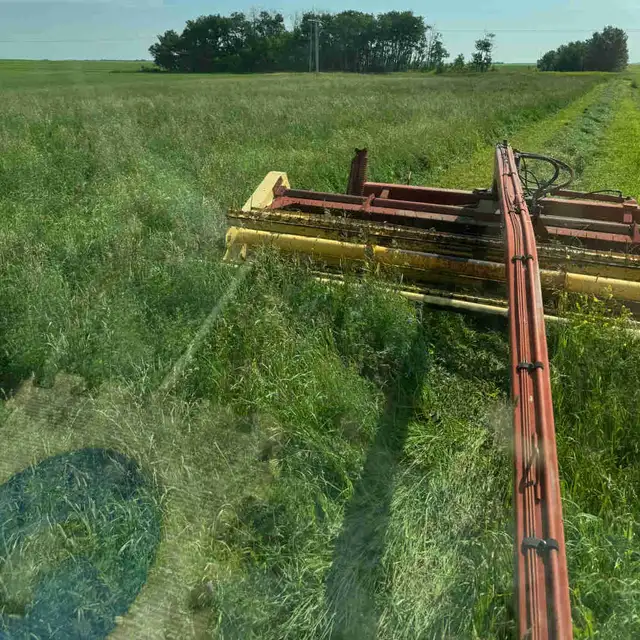 Pure Alfalfa Bales & Grassland Blend Bales