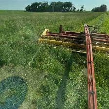 Pure Alfalfa Bales & Grassland Blend Bales