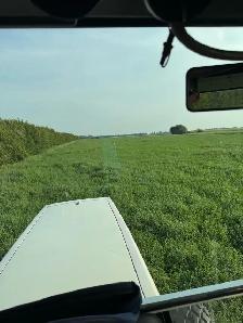 Pure Alfalfa Bales & Grassland Blend Bales - Photo 2