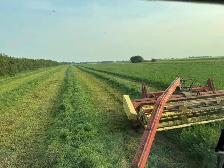 Pure Alfalfa Bales & Grassland Blend Bales - Photo 3