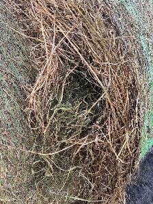 Pure Alfalfa Bales & Grassland Blend Bales - Photo 5