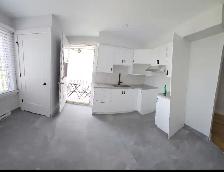 Renové 4 et demi, 3 chambres fermer, 10 minute de Metro Papineau