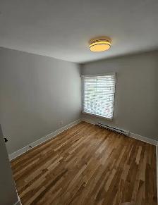 Renové 4 et demi, 3 chambres fermer, 10 minute de Metro Papineau - Photo 8