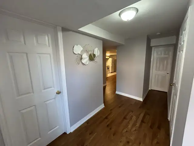 Independent entrance walkout basement 2 bed room for rent