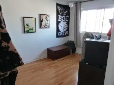 4 1/2 à Pointe-aux-Trembles, septembre 1200 $ - Photo 7