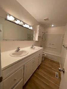 Spacious 5-bed, 2 Bath Family Home - Steps from Bellevue Park - Photo 5