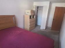 Brentwood room - minutes walk to LRT and U of C - Photo 4
