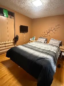 MASTER BEDROOM ( UPPERFLOOR) FIR RENT IN MALTON - Photo 2
