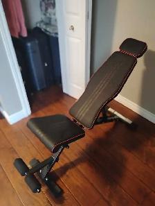 Exercise Bench