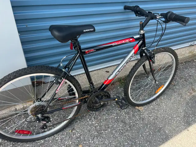 mountain bike ( medium size )