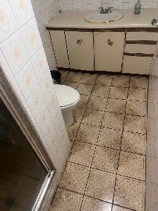 WALKOUT BASEMENT( 1 BHK) FOR RENT IN MALTON - Photo 6