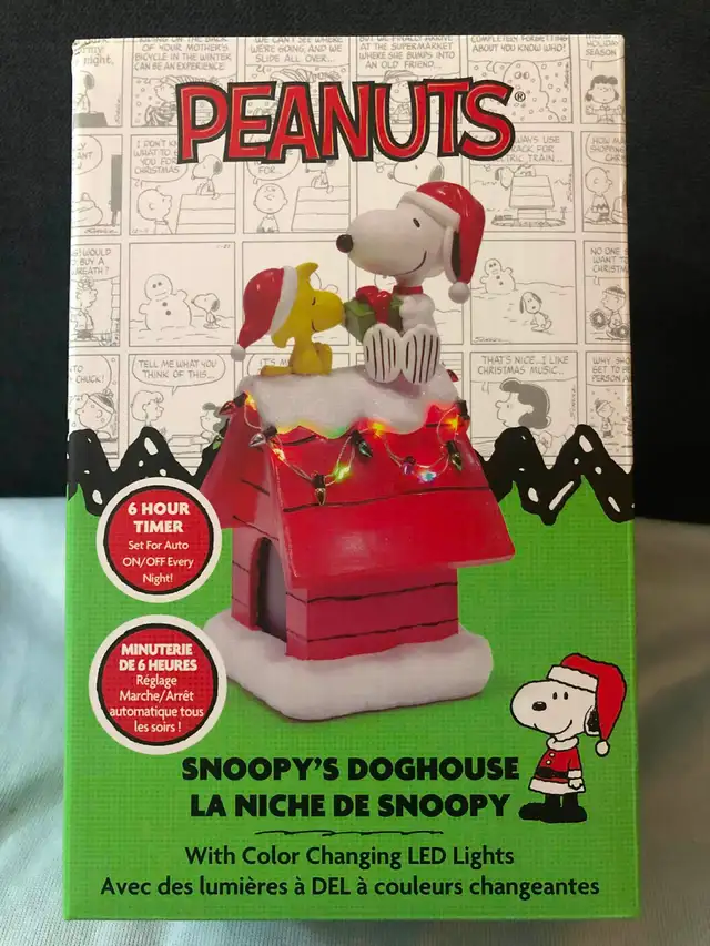 La niche de Snoopy- Snoopy dog house