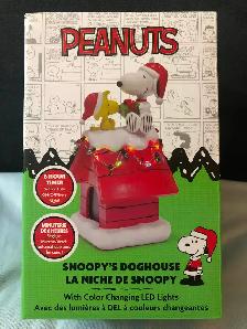 La niche de Snoopy- Snoopy dog house