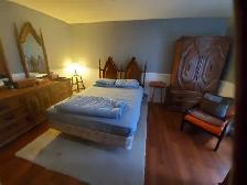 NOW RENTING - 1 BDRM   2BDRM Apartments - Photo 2