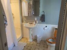 NOW RENTING - 1 BDRM   2BDRM Apartments - Photo 9
