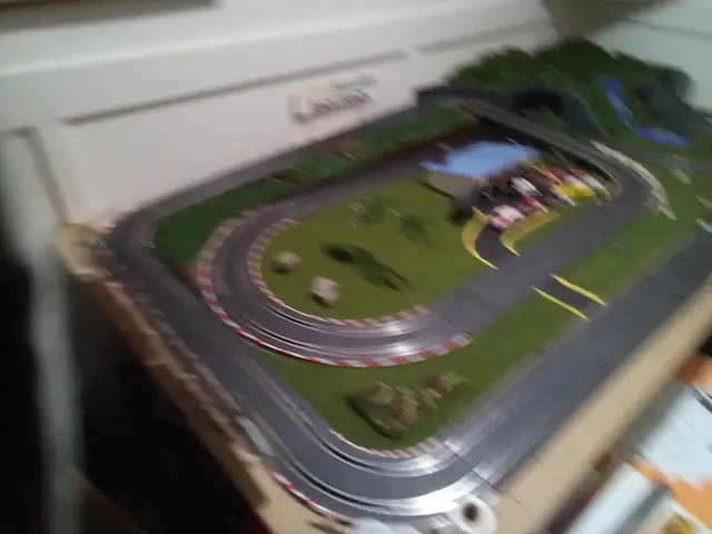 Carrara go race track