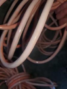 50' 12g Extension Cords x 2 - Photo 2