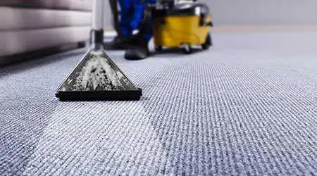 Upholstery & Carpet cleaning service