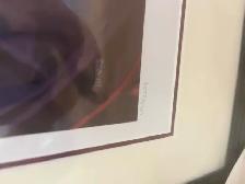 Roger Neilson Framed Lithograph - Photo 2