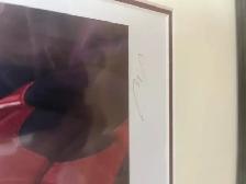 Roger Neilson Framed Lithograph - Photo 3
