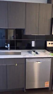 Brand-New 1 Bedroom   Den Condo Rental - Photo 5
