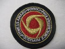 Set of 3 vintage Canada Fitness Award patches - Photo 3