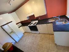 10-Minute Walk to McMaster, Room for Rent