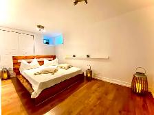 DUPLEX _ AHUNTSIC_ CARTIE-VILLE - Photo 10