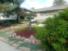 Renovated House For Sale 2.5 Blocks To Southgate Mall LRT