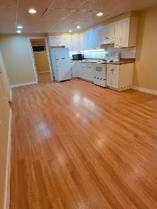 UTILITIES INCLUDED! Bright, 900 sq ft basement suite available O