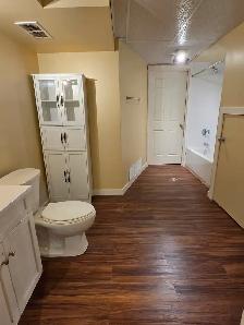 UTILITIES INCLUDED! Bright, 900 sq ft basement suite available O - Photo 4
