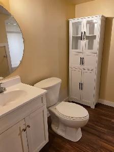 UTILITIES INCLUDED! Bright, 900 sq ft basement suite available O - Photo 5