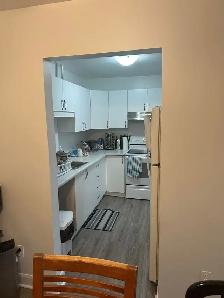 Grand 4-1/2 rénové à Louer: $1650/m, Immédiat à Longueuil - Photo 10