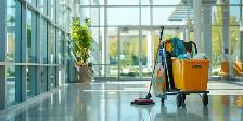 URGENT Need Commercial Cleaner For Tomorrow