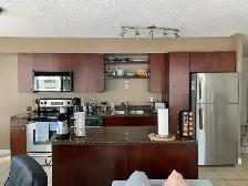 HUGE downtown 750 sq ft 1 Den Condo - Spadina & Front w parking - Photo 4
