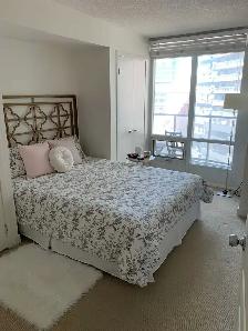 HUGE downtown 750 sq ft 1 Den Condo - Spadina & Front w parking - Photo 7