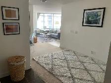 HUGE downtown 750 sq ft 1 Den Condo - Spadina & Front w parking - Photo 8