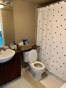 HUGE downtown 750 sq ft 1 Den Condo - Spadina & Front w parking - Photo 9