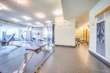 HUGE downtown 750 sq ft 1 Den Condo - Spadina & Front w parking - Photo 16