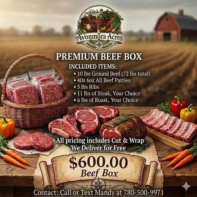 Beef Boxes