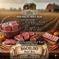 Beef Boxes
