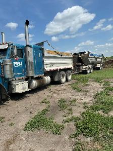 transport services - Photo 2
