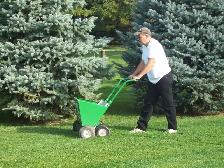 Lawn Dethatching - Photo 5