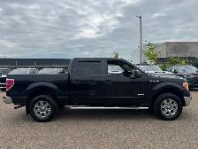 2014 Ford F-150 CREW CAB - CLEAN CAR FAX - NEW BRAKES - Photo 6