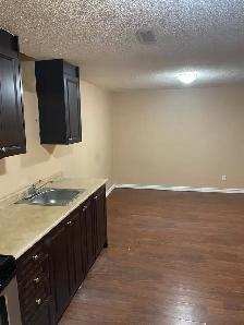 ONE BEDROOM BASEMENT APARTMENT- MISSISSAUGA - Photo 5