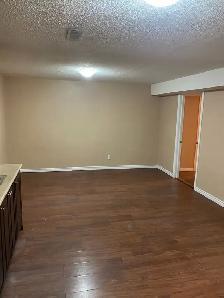 ONE BEDROOM BASEMENT APARTMENT- MISSISSAUGA - Photo 7