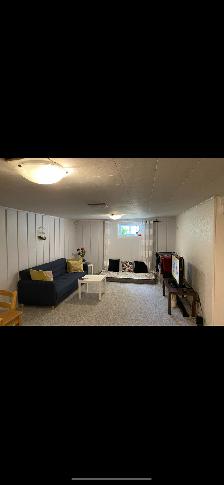 One bed room basement with separate entrance Available