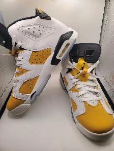 Air Jordan 6 retro