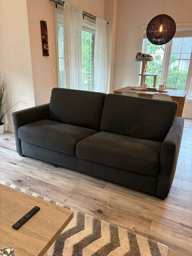 Structube Sofa Bed - $250